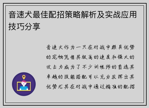 音速犬最佳配招策略解析及实战应用技巧分享